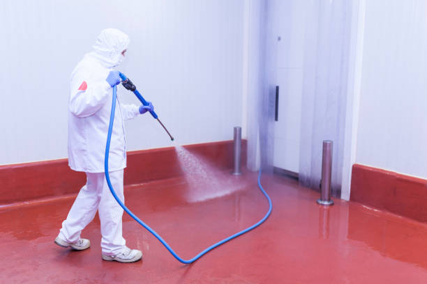 Best Playground Equipment Cleaning  in Mikes, TX